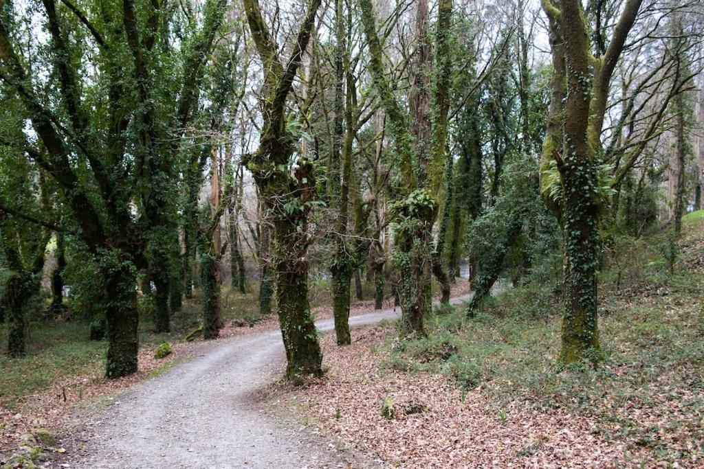 א-קורוניה A Casa Da Moreira - Casa Rural En Ponte Maceira מראה חיצוני תמונה